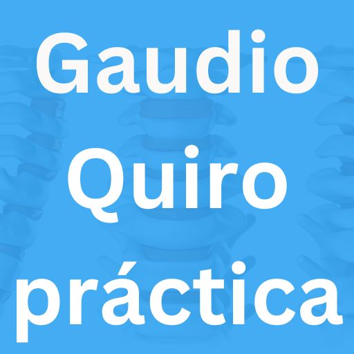 img/gaudioquiroprctica.jpg